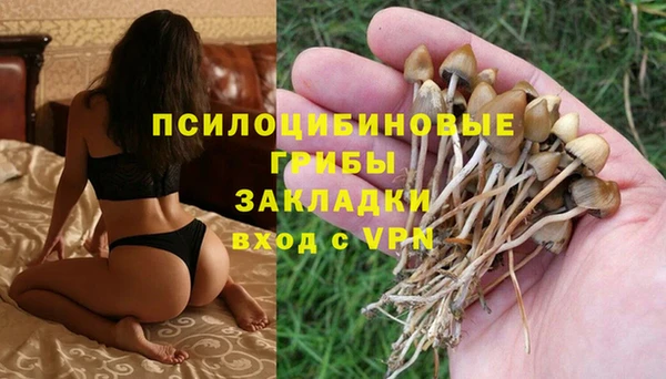 дмт Горняк