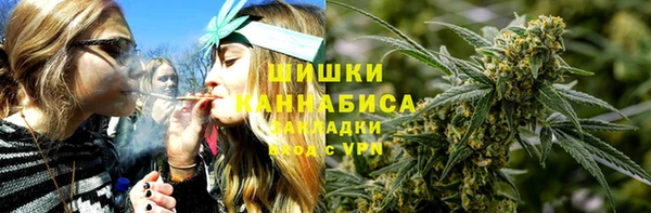 дмт Горняк