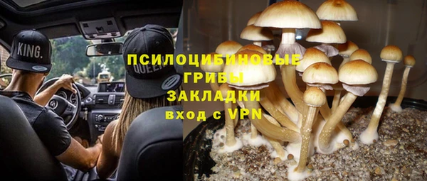 дмт Горняк