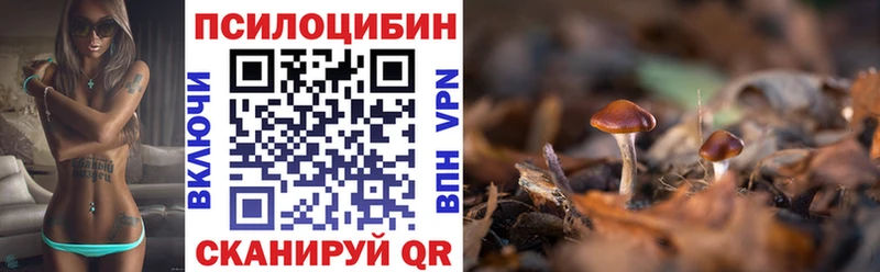 купить  сайты  Озёрск  Галлюциногенные грибы Cubensis 